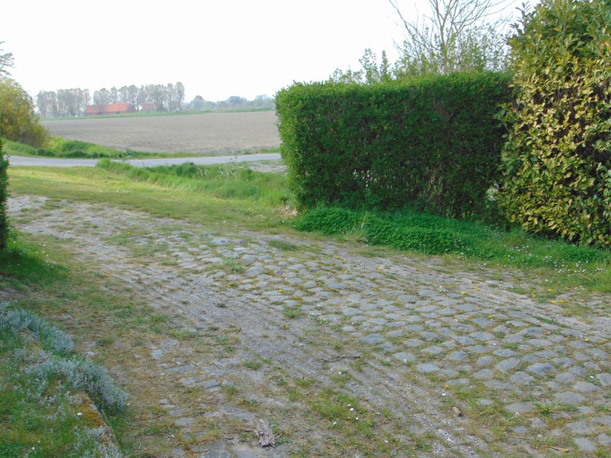 Polderhuis Voor 8-10 Personen Aan Zee Нювлиет Екстериор снимка